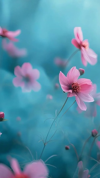 简约小清新花草树木