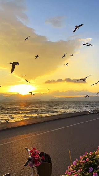日出洱海