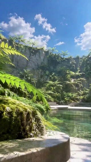 热带秘境