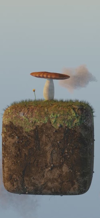 小岛蘑菇