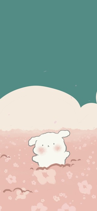 唯美花海中的小白