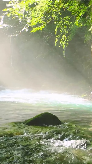 清晨阳光溪流