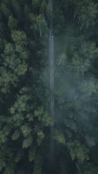 风景