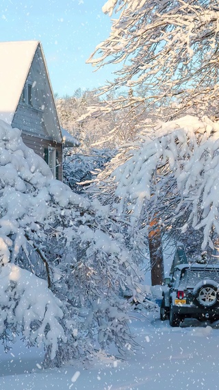 冬天第一场雪