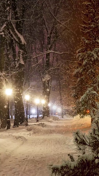 飘雪你在思念谁