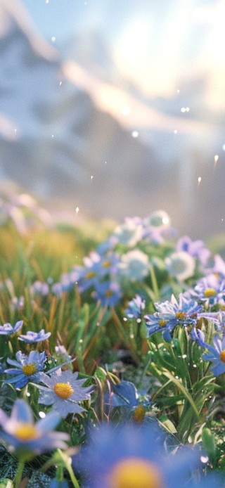 蓝色小花