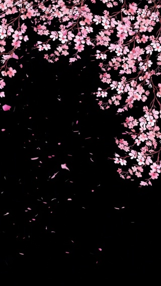 樱花-樱花飘落
