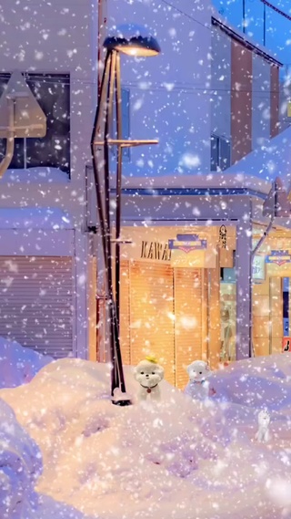鹅毛飘雪