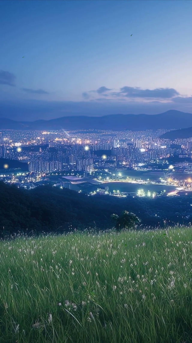夜景城市风光