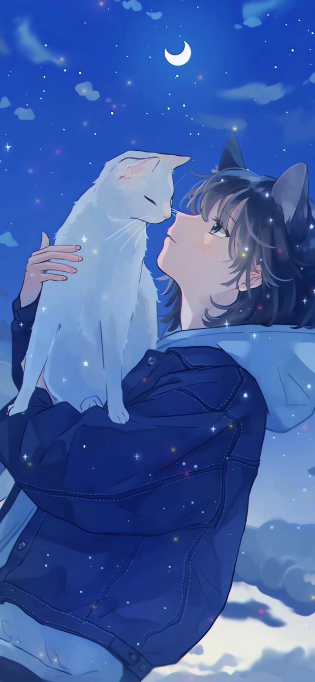 夜晚星空女孩与猫