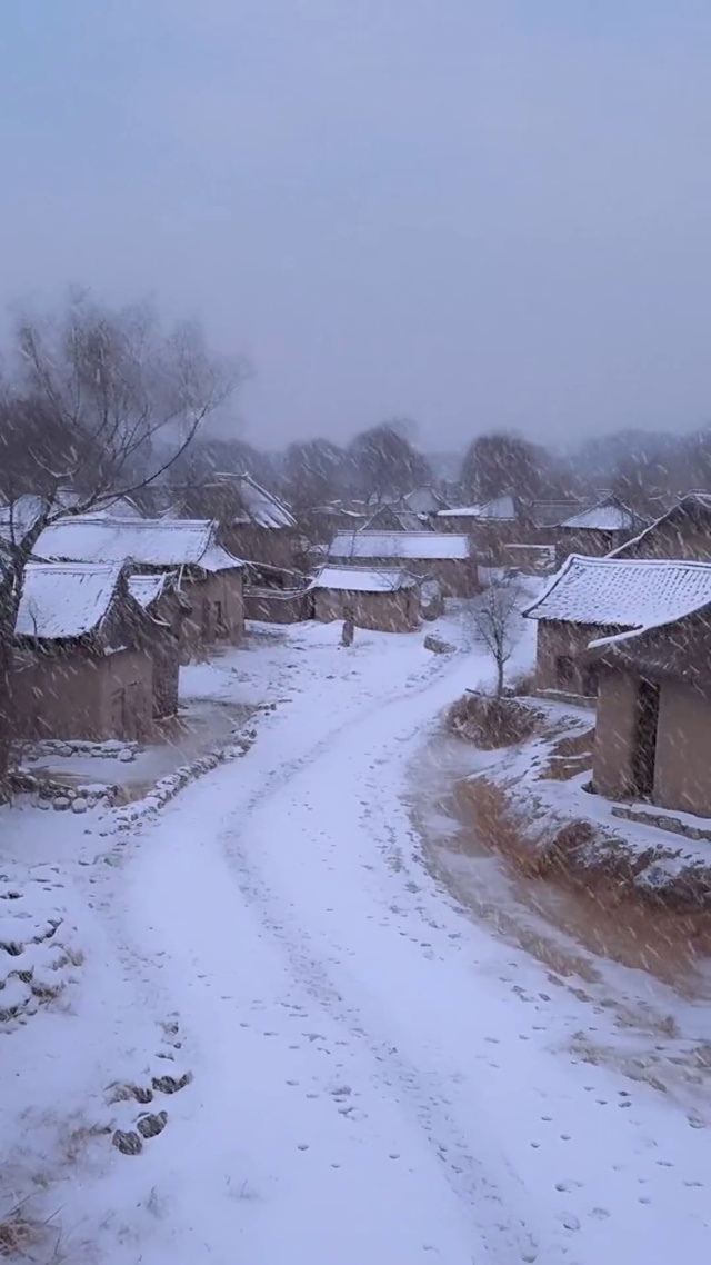 拍摄于1995年12月凌晨