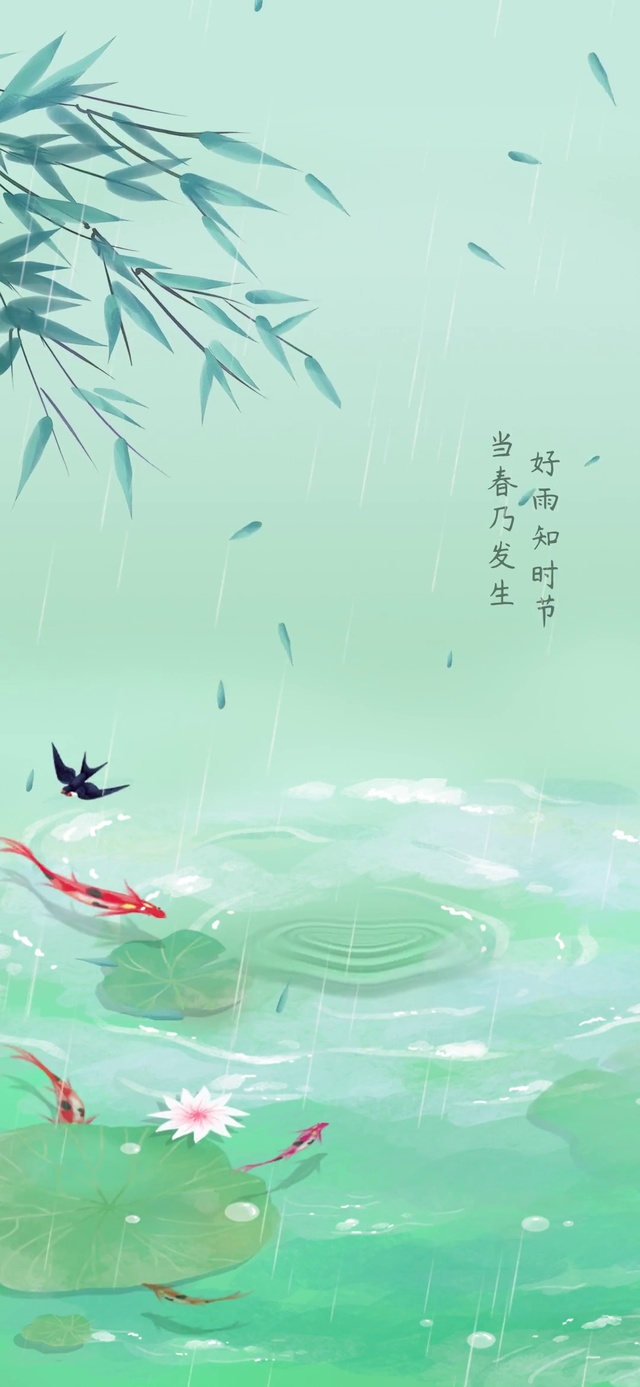 护眼池塘锦鲤