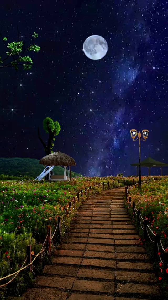 明月几时有把酒问青天