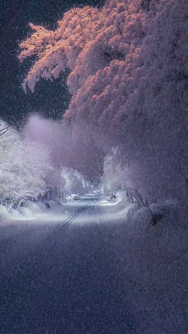 下雪壁纸