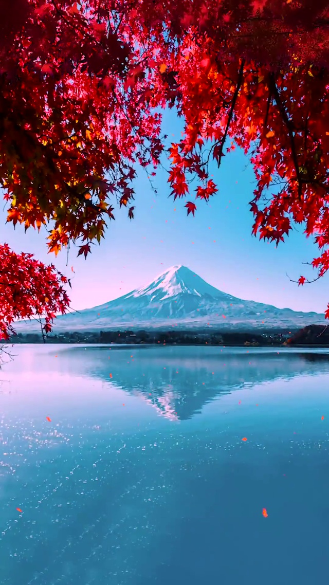 春有百花冬有雪，夏有凉风秋有月。