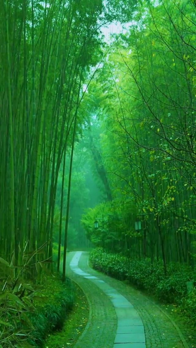 有那么一瞬间，感觉静下来，也挺好的。