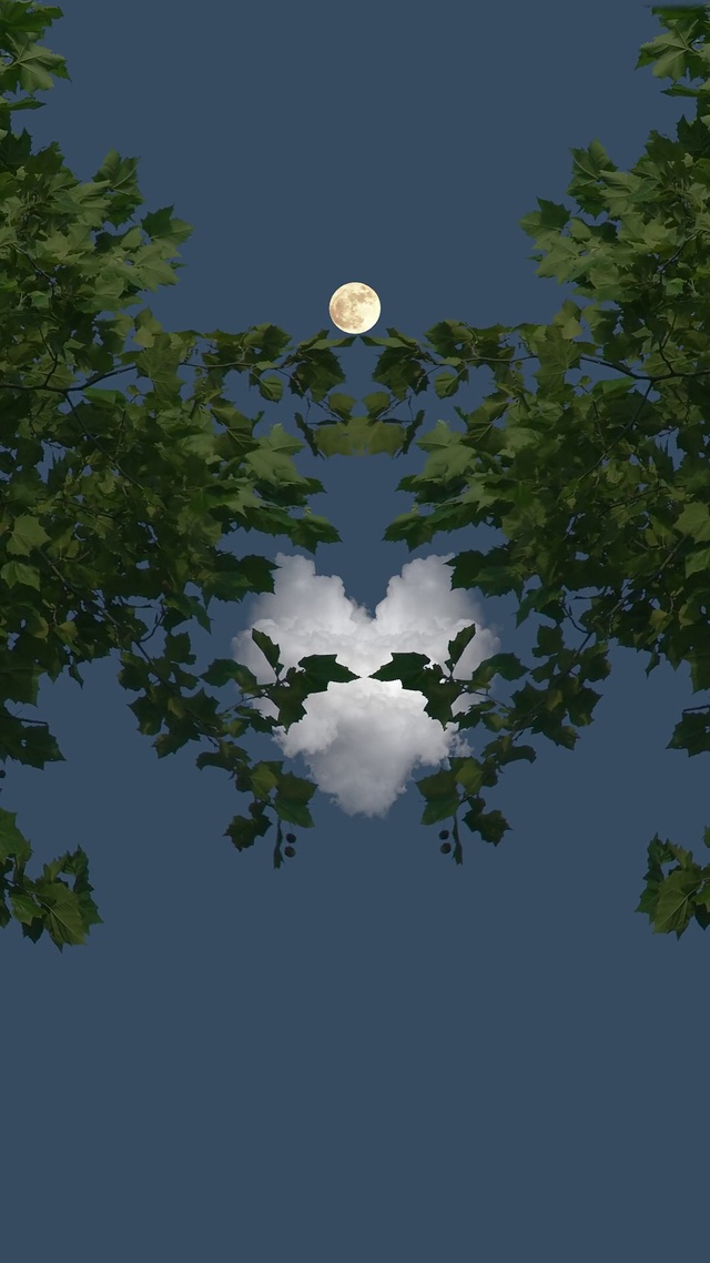 爆款高清夜景壁纸