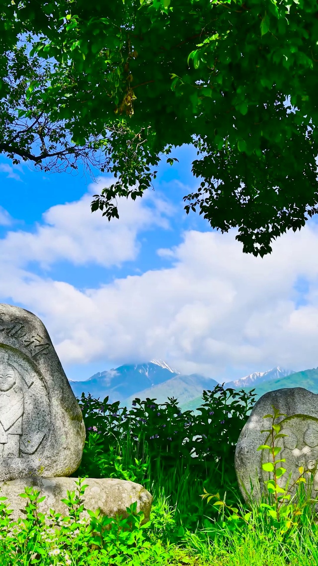 夏日护眼蓝天绿树石头