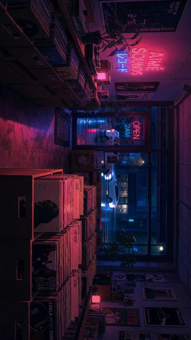 夜晚的唱片店
