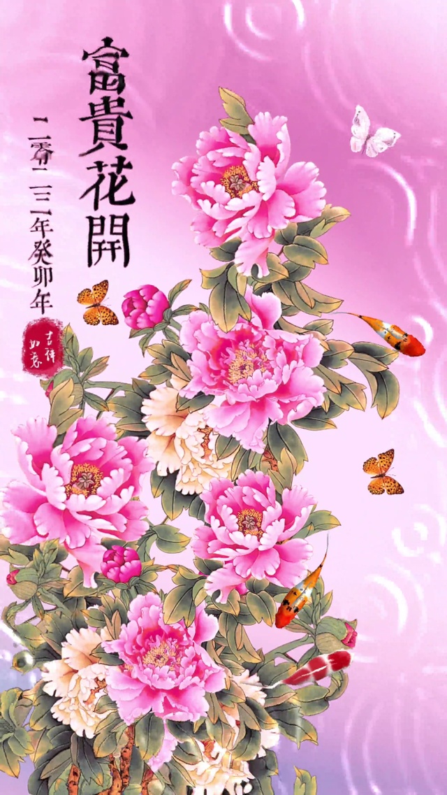 富贵花开