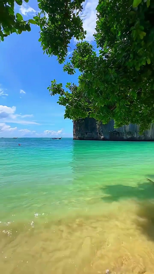 养了眼，醉了心