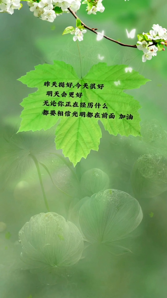 明天会更好
