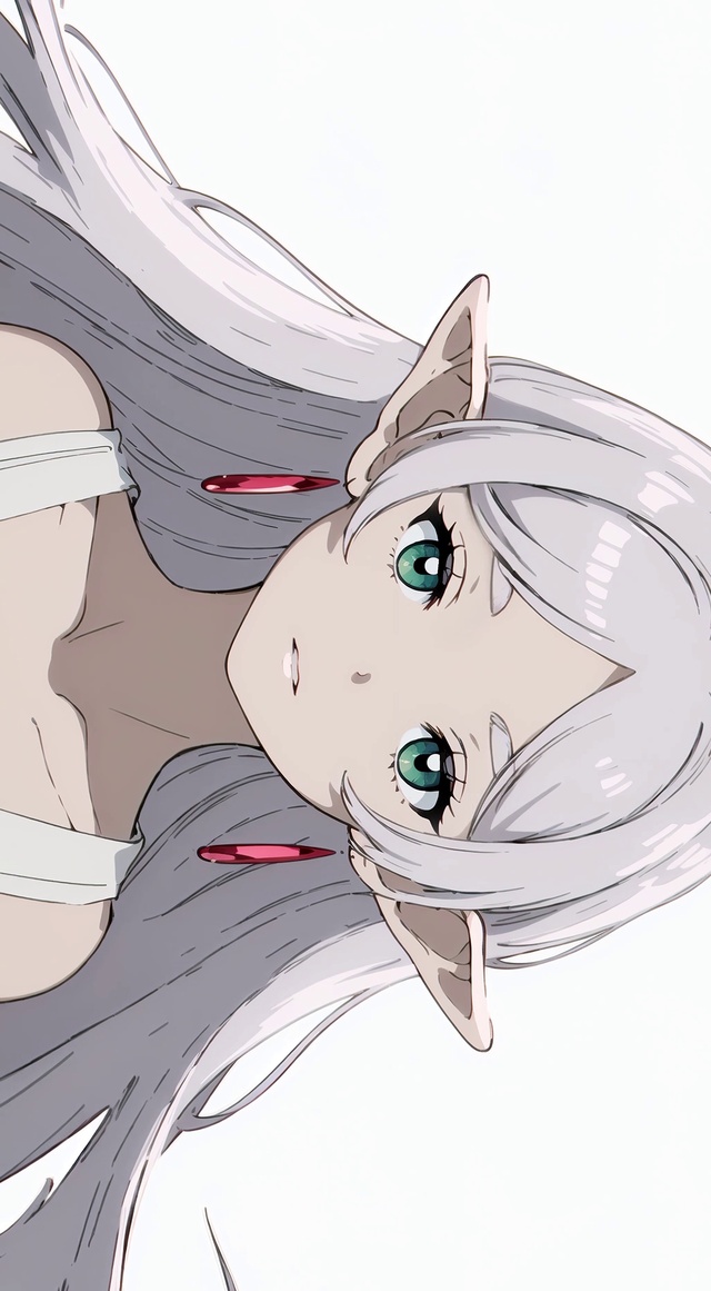 注释