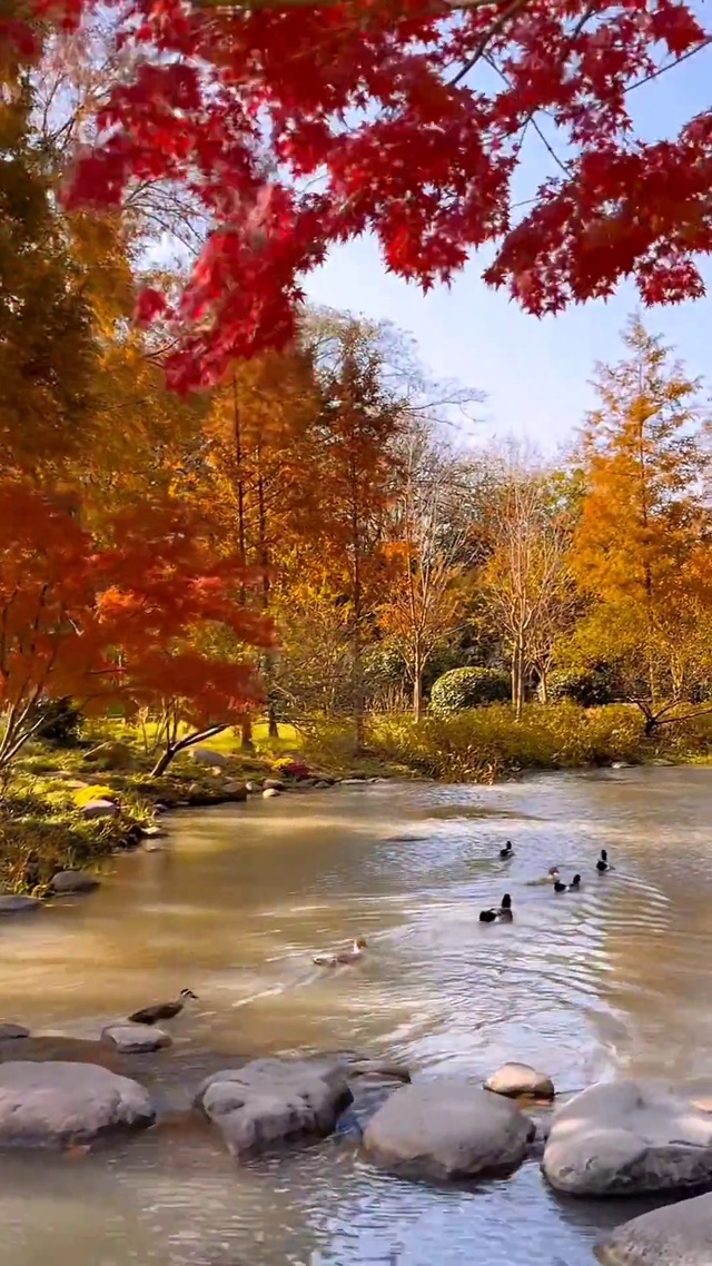 染墨流年 岁月沉香