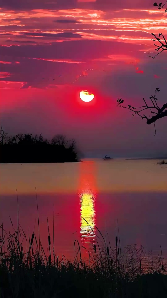 夕阳无限好