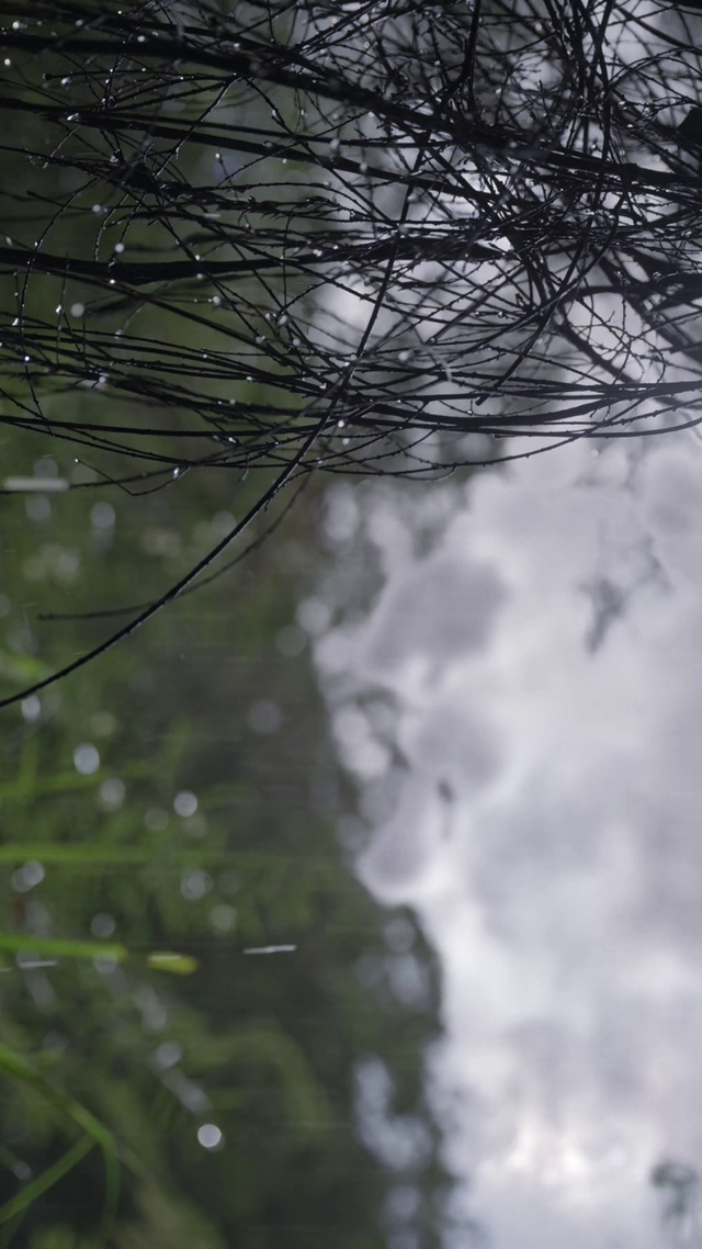 放松自然雨天