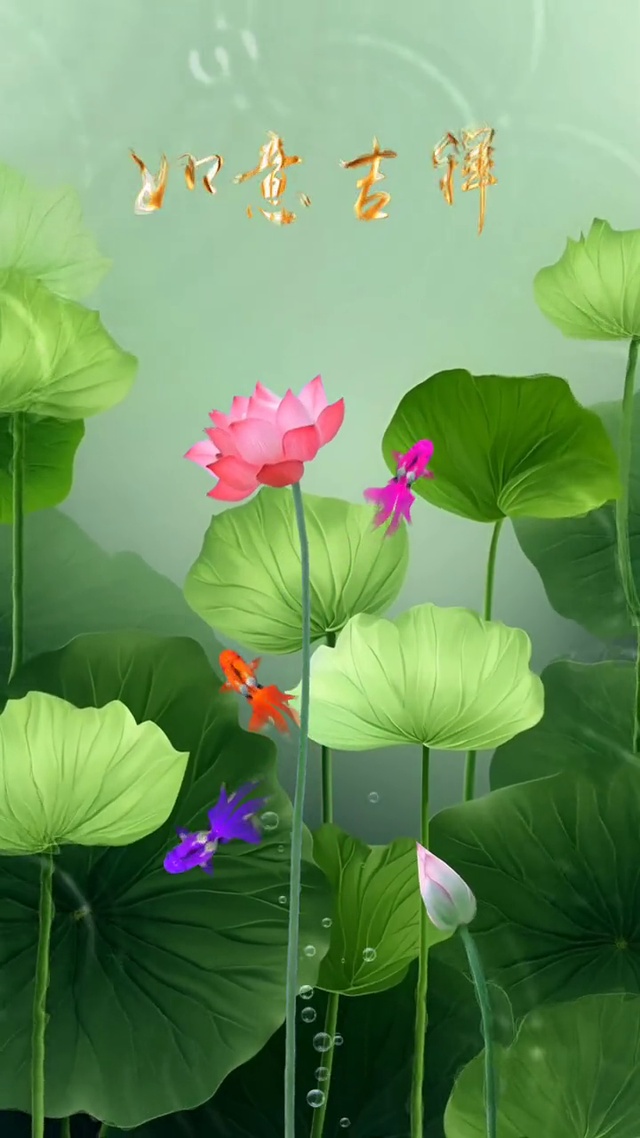 “荷荷”美美 如意吉祥