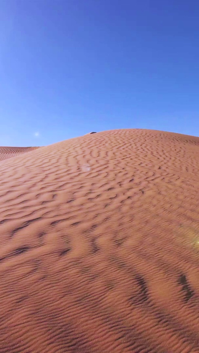 4K 高清 撒哈拉沙漠景观