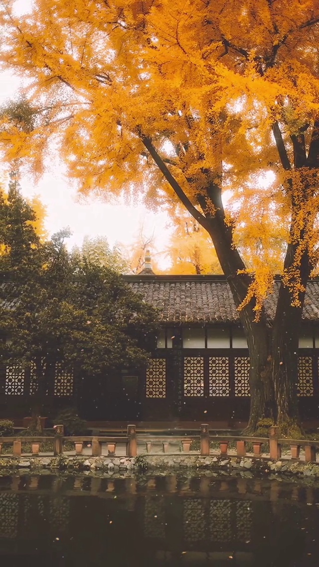 我发现我真的好喜欢秋天，因为那是我对你的思念