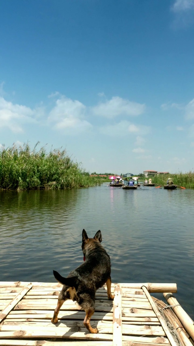 浮生偷得半日闲