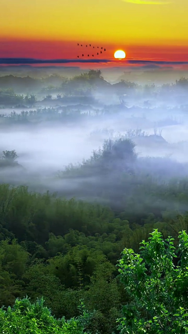 落霞与孤鹜齐飞