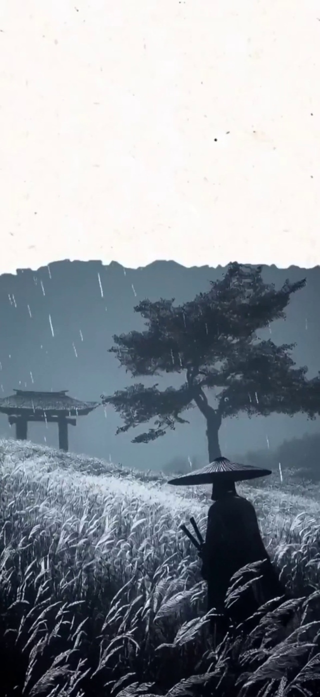 夕阳武士 4k