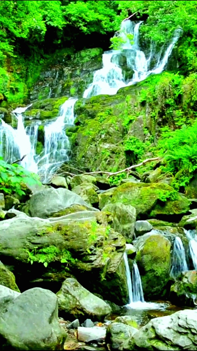 山涧小溪流水 4K