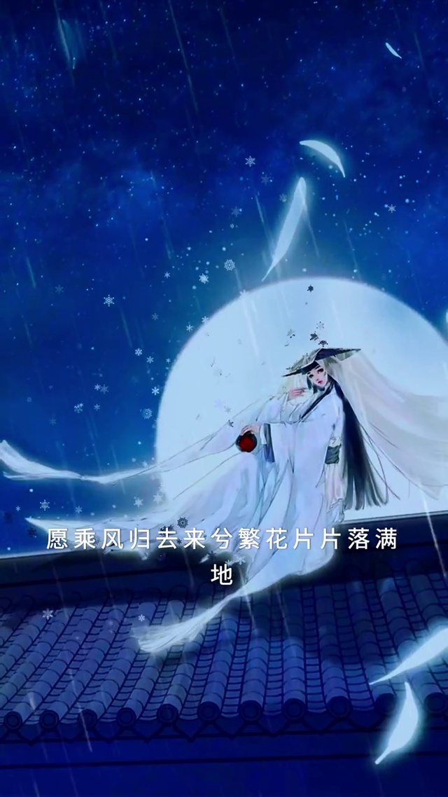 侠女倩影