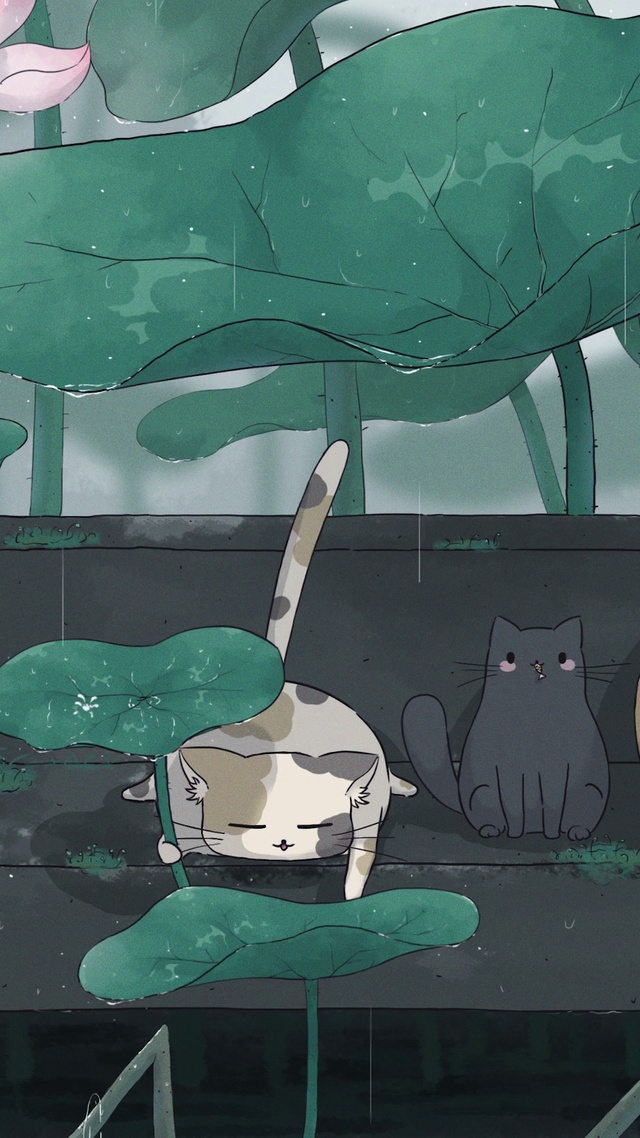 荷塘躲雨的喵星人