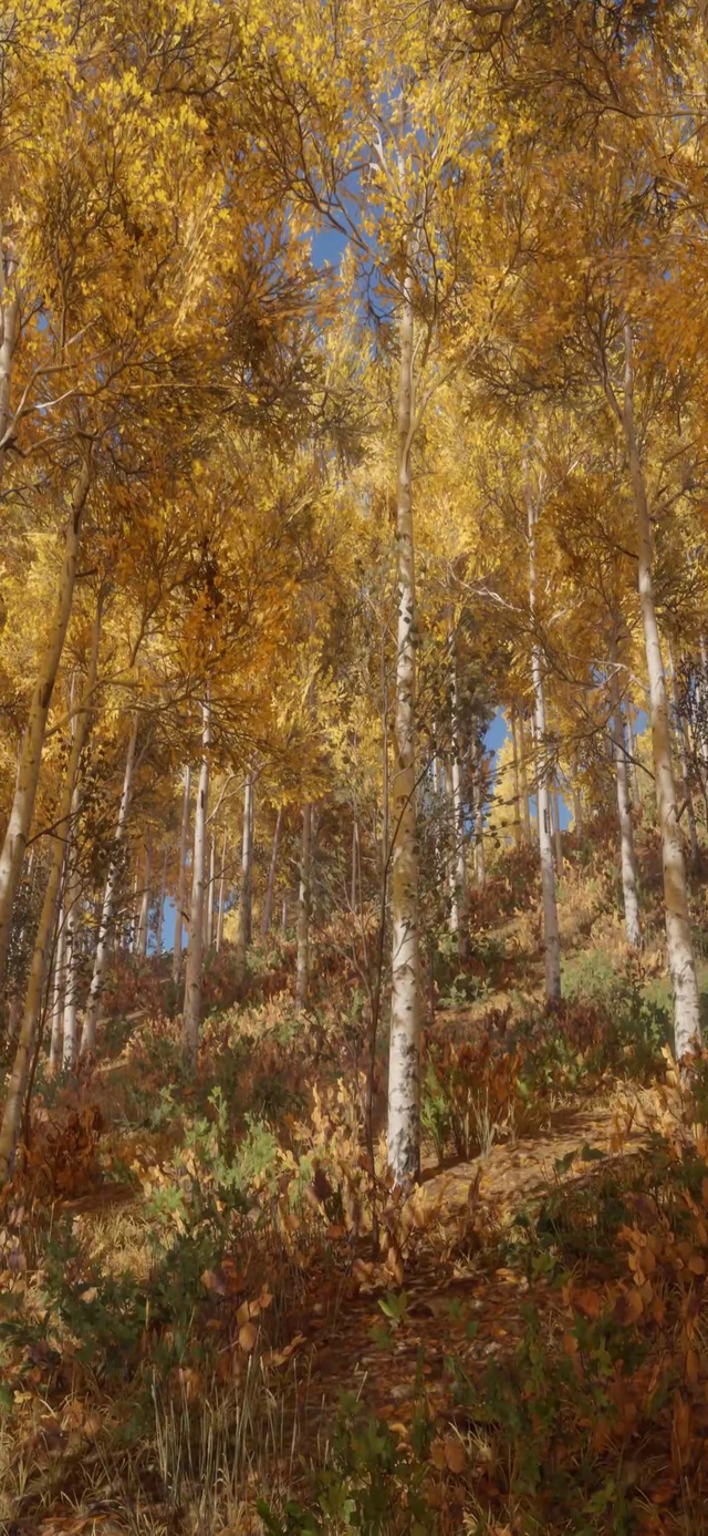 风景系列之四十【4K唯美】