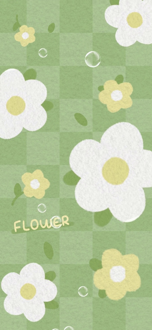 春日来信 毛毡花花