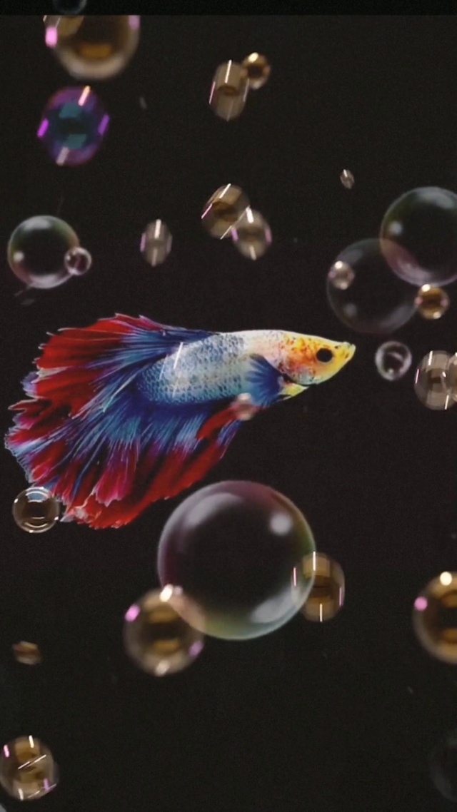 如鱼得水 大富大贵