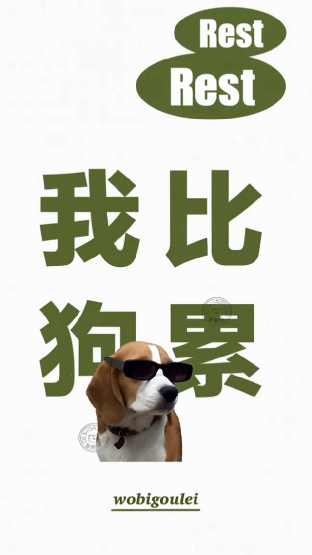 汪星人