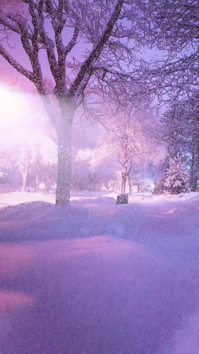 治愈爆款紫色雪景