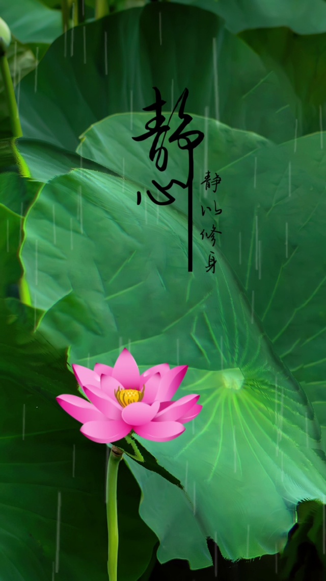 一朵莲花