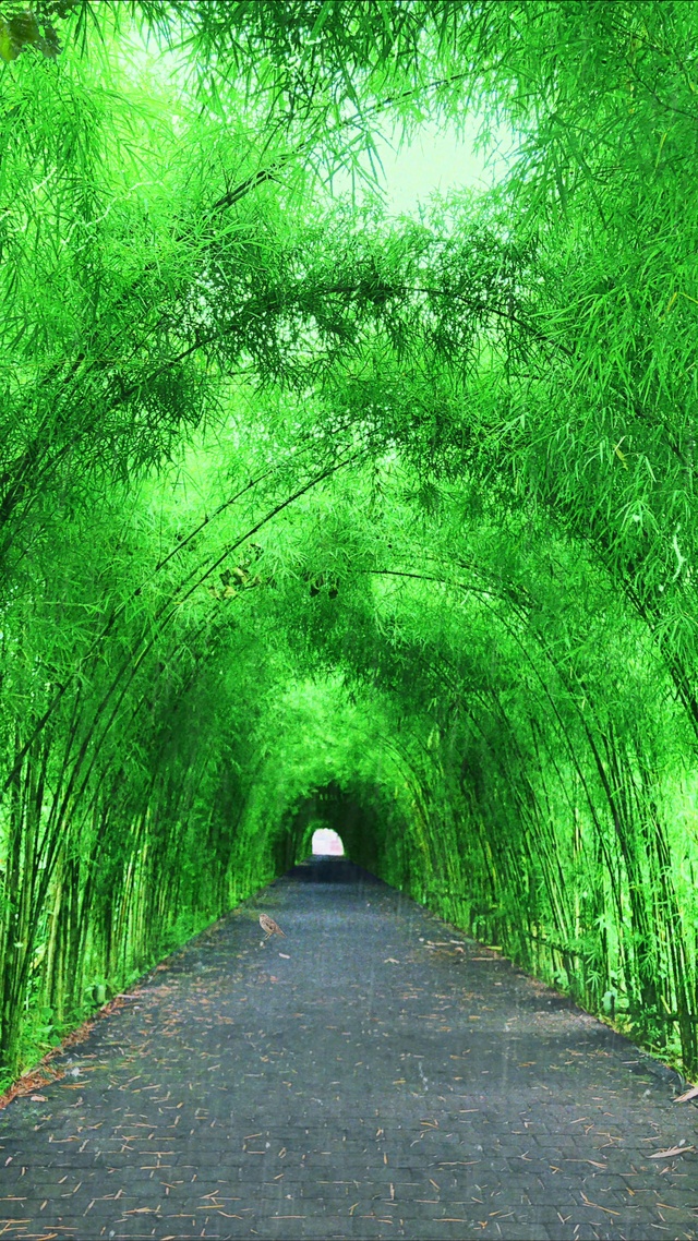 静听雨声，净化心灵