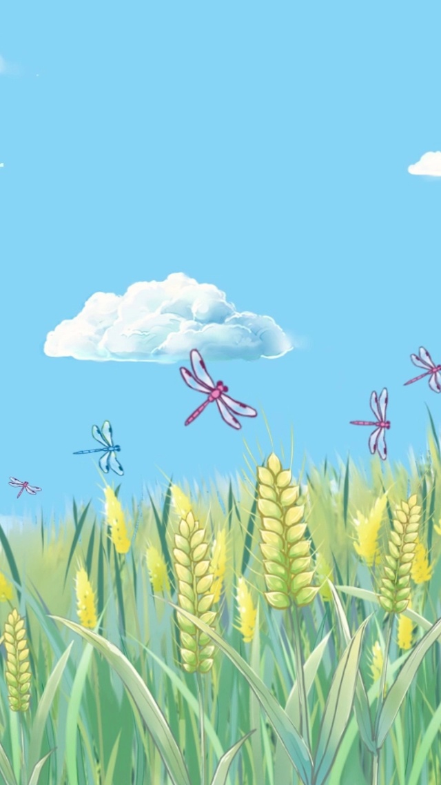 风吹麦穗，飞舞蜻蜓