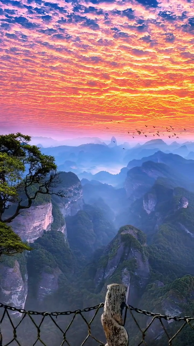 日出东方催人醒，不及晚霞懂我心