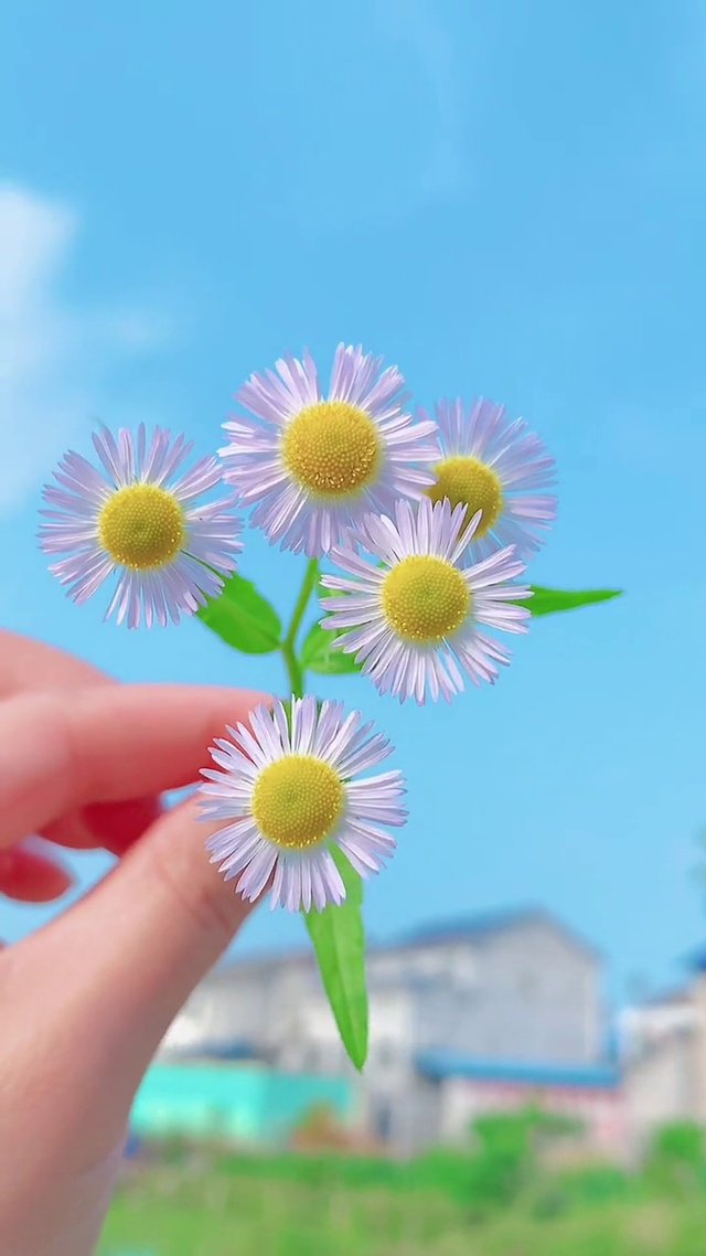 心中有阳光，遇见皆美好。