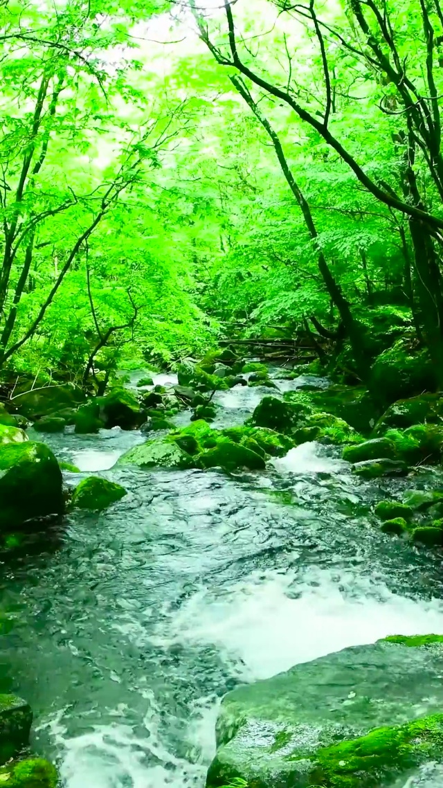 护眼绿林山涧溪流